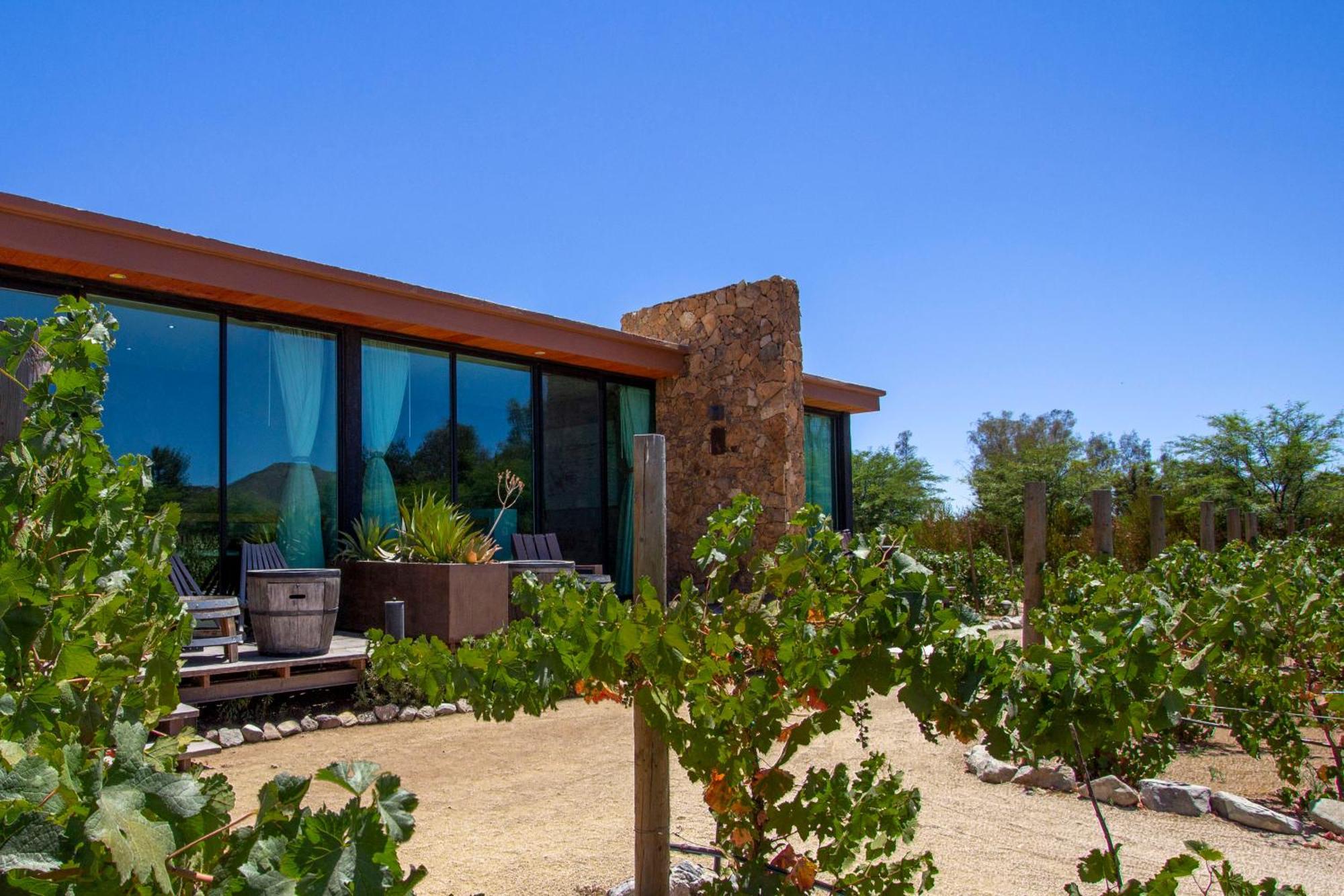 Hotel Boutique Valle De Guadalupe & Spa Room photo