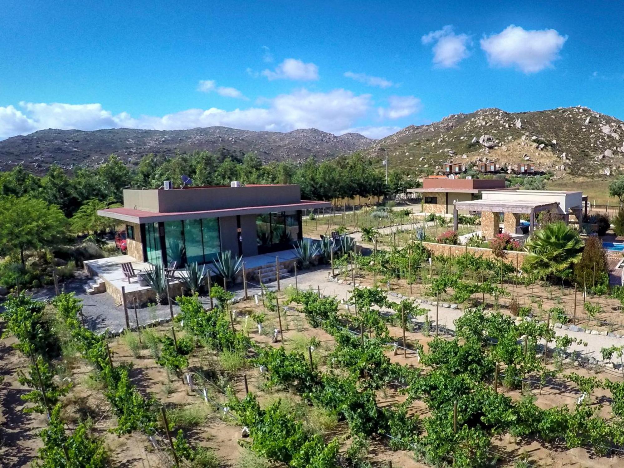 Hotel Boutique Valle De Guadalupe & Spa Room photo