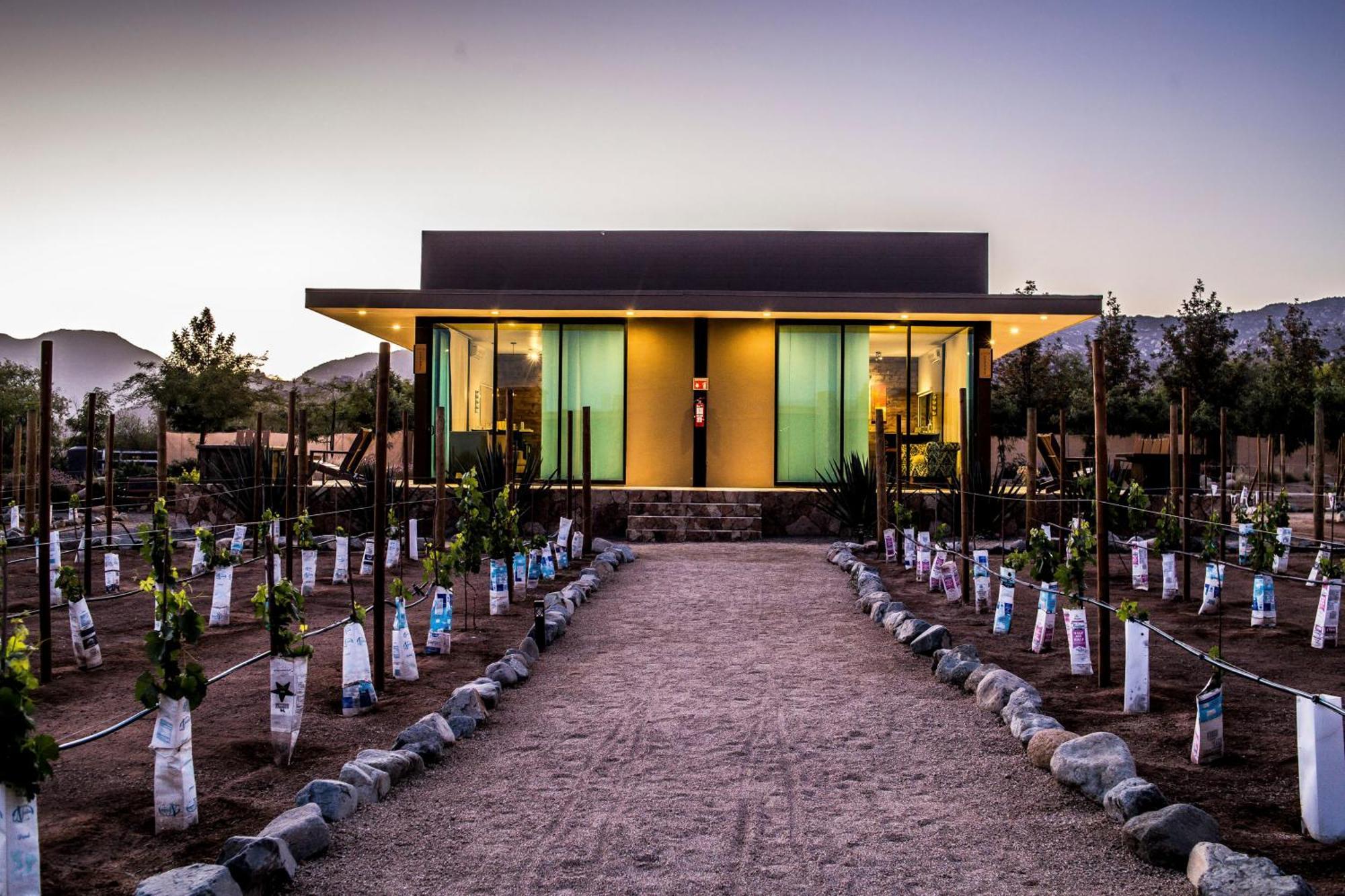 Hotel Boutique Valle De Guadalupe & Spa Room photo